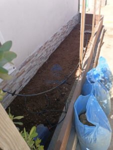 img 20250530 wa0074 (1) (1)